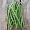 Jade Bush Bean