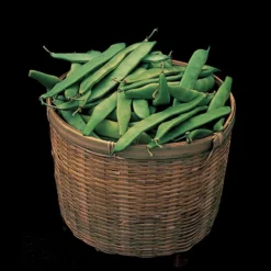 Roma II Italian Bush Bean
