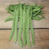 Hilda Romano Pole Bean