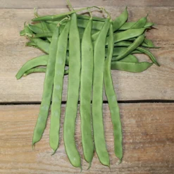 Hilda Romano Pole Bean