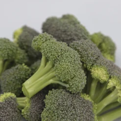Monflor Broccoli