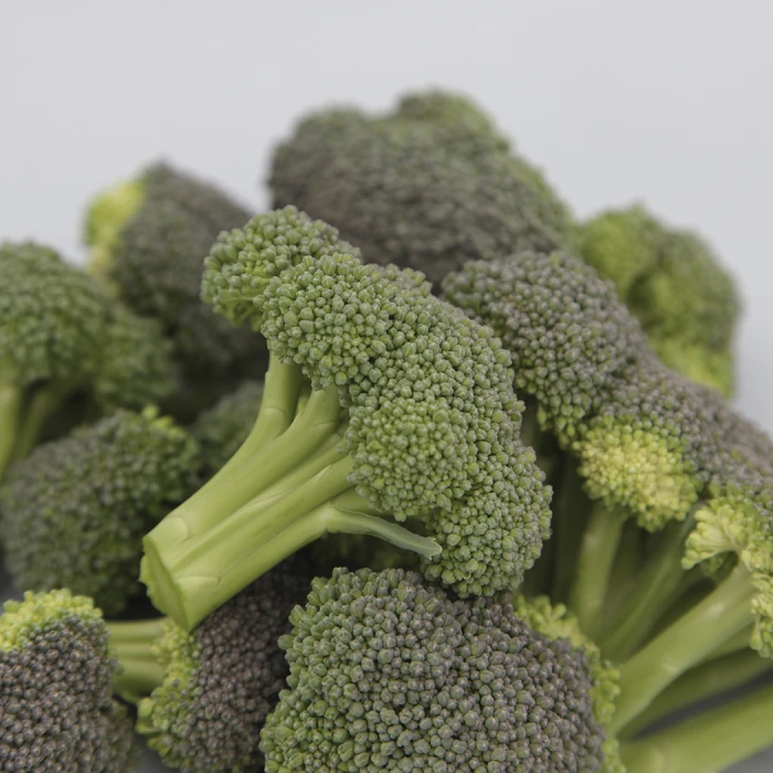 Monflor Broccoli 1 Monflor Broccoli