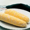 Delectable Hybrid Sweet Corn