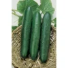 Sweet Slice Hybrid Cucumber