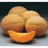 Athena Hybrid Muskmelon