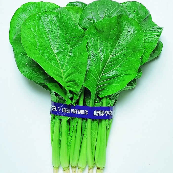 Komatsuna Mustard Spinach 1 Komatsuna Mustard Spinach