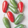 Early Jalapeno Pepper