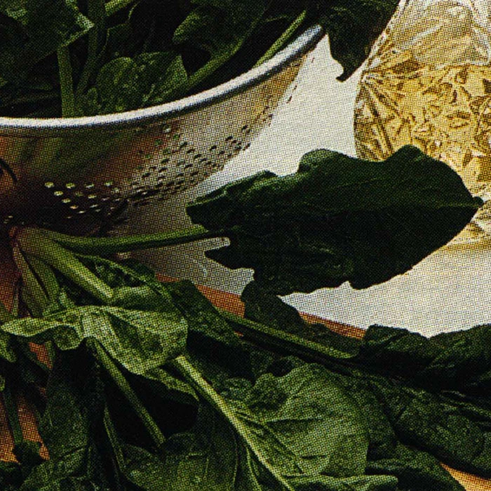 Bloomsdale Long Standing Spinach 1 Bloomsdale Long Standing Spinach