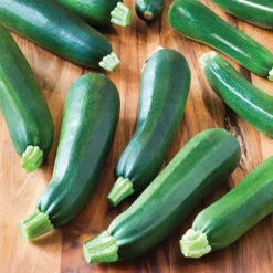 Black Beauty Zucchini Squash