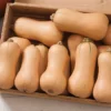 Butterscotch Hybrid Squash