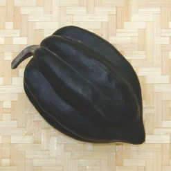 Table King Bush Acorn Squash