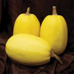 Primavera Hybrid Spaghetti Squash