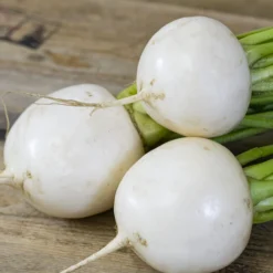 Tokyo Cross Hybrid Turnip
