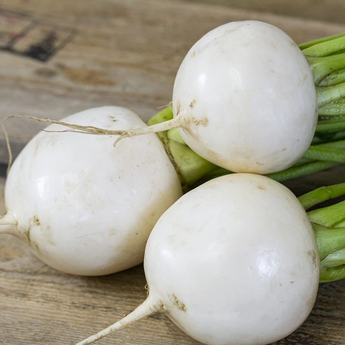 Tokyo Cross Hybrid Turnip 1 Tokyo Cross Hybrid Turnip