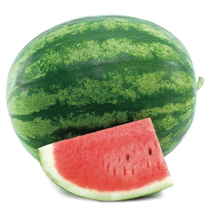 Solitaire Hybrid Seedless Watermelon 1 Solitaire Hybrid Seedless Watermelon
