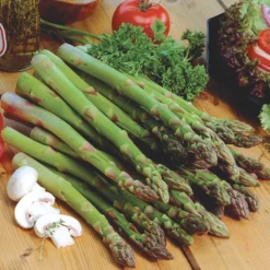 Asparagus Offer #1