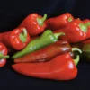 Carmen Hybrid Organic Pepper