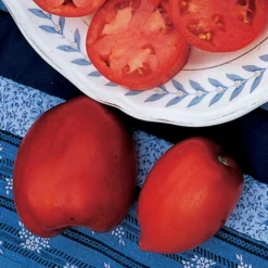 Amish Paste Organic Tomato