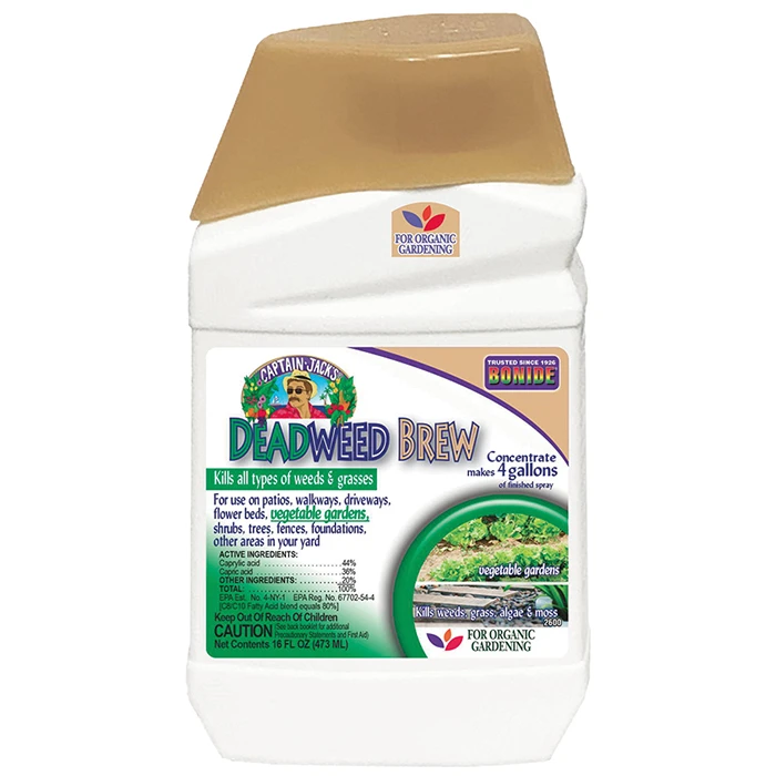 Captain Jack's Deadweed Brew 1 Captain Jack's Deadweed Brew