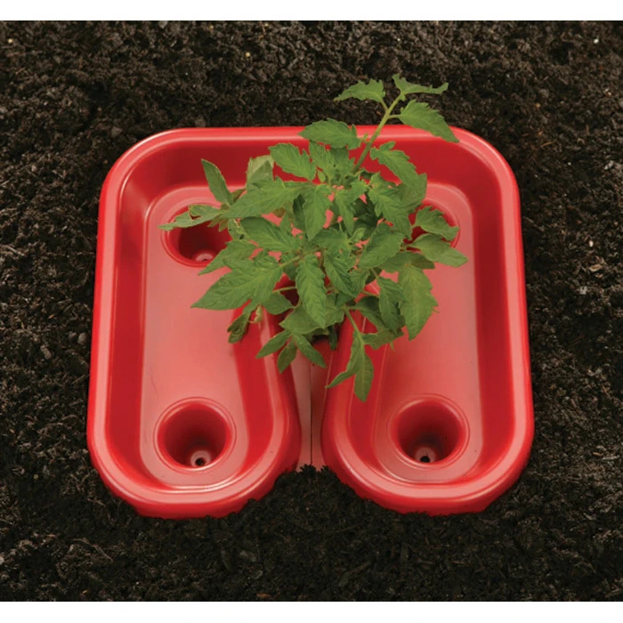 Red Tomato Tray (3 Trays) 1 Red Tomato Tray (3 Trays)