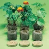 Jiffy-7&reg; Plant Starters