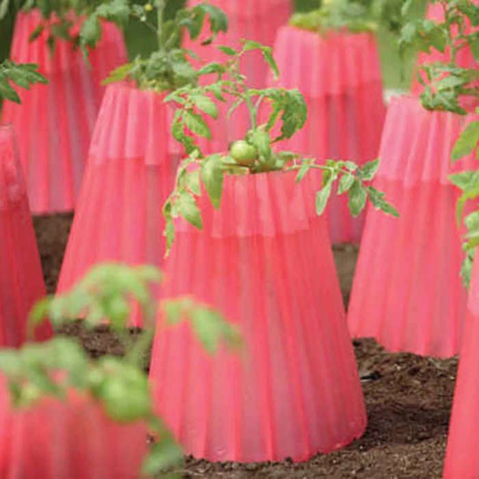 Kozy Coats Plant Protectors 1 Kozy Coats Plant Protectors