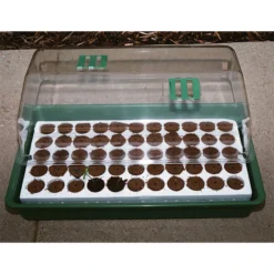 Q Plug 55 Pack Refill