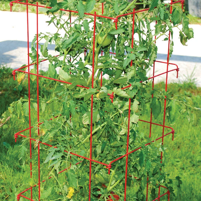 Jung Jumbo Red Tomato Cages 1 Jung Jumbo Red Tomato Cages