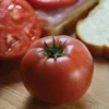 Tidy Rose Hybrid Tomato