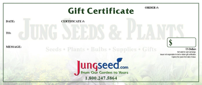 Gift Certificate 1 Gift Certificate