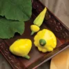 Sunburst Hybrid Summer Squash