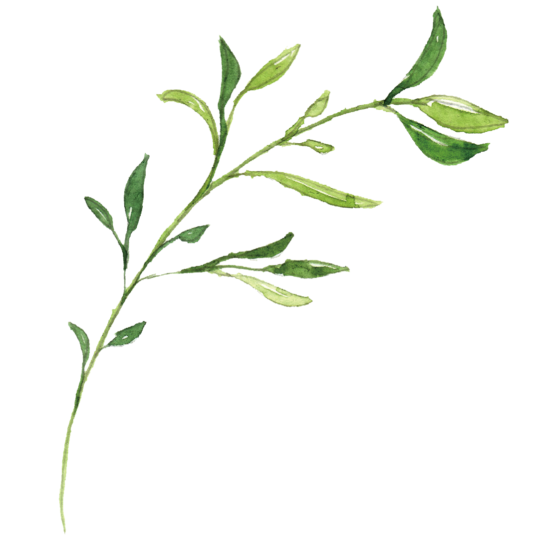 Cheap Leaf Trellis Store